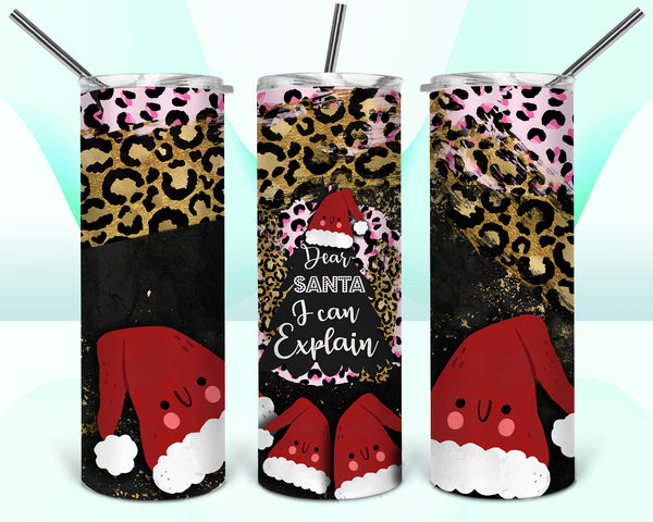 Dear Santa I Can Explain